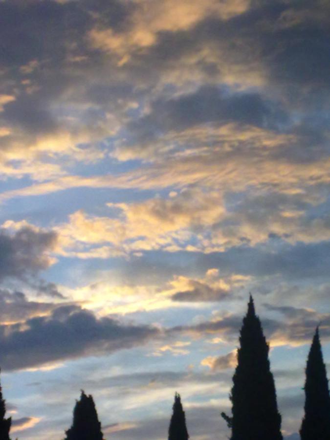 Residenza Al Sogno - On Lake Garda Cavaion Veronese Eksteriør billede