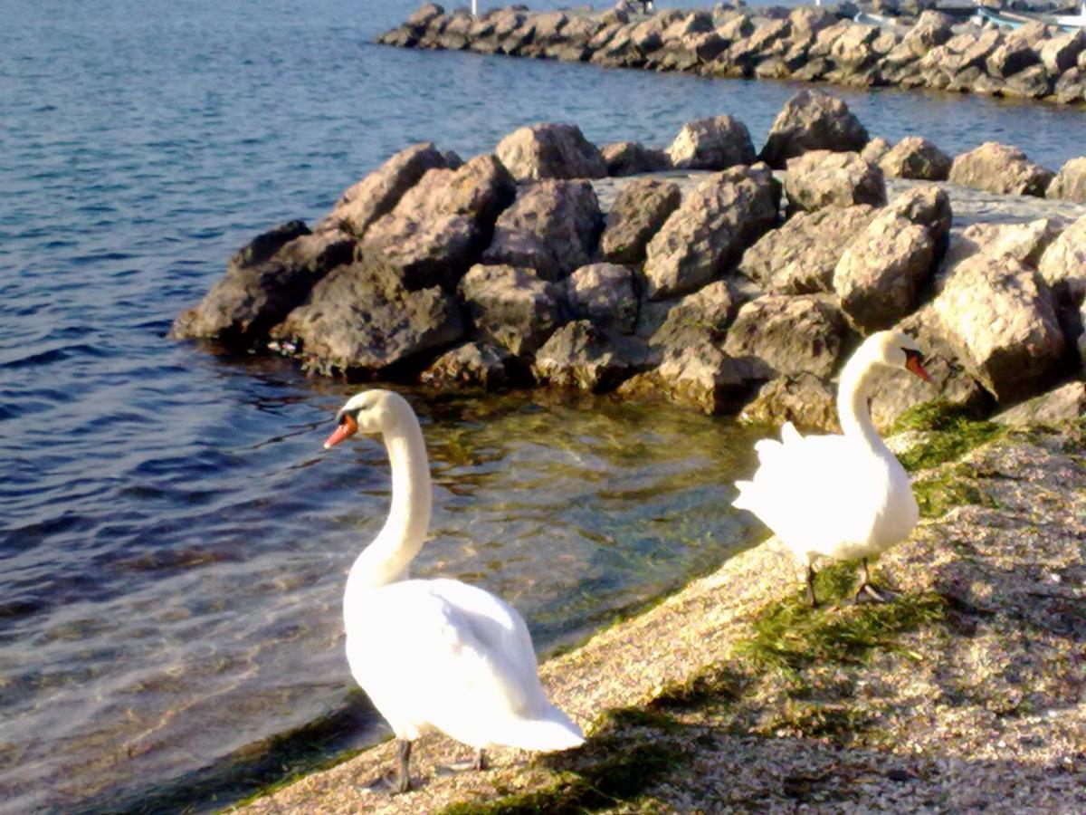 Residenza Al Sogno - On Lake Garda Cavaion Veronese Eksteriør billede
